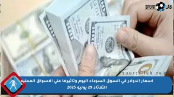 أسعار الدولار في السوق السوداء اليوم وتأثيرها على الأسواق المحلية الثلاثاء 29 يوليو 2025
